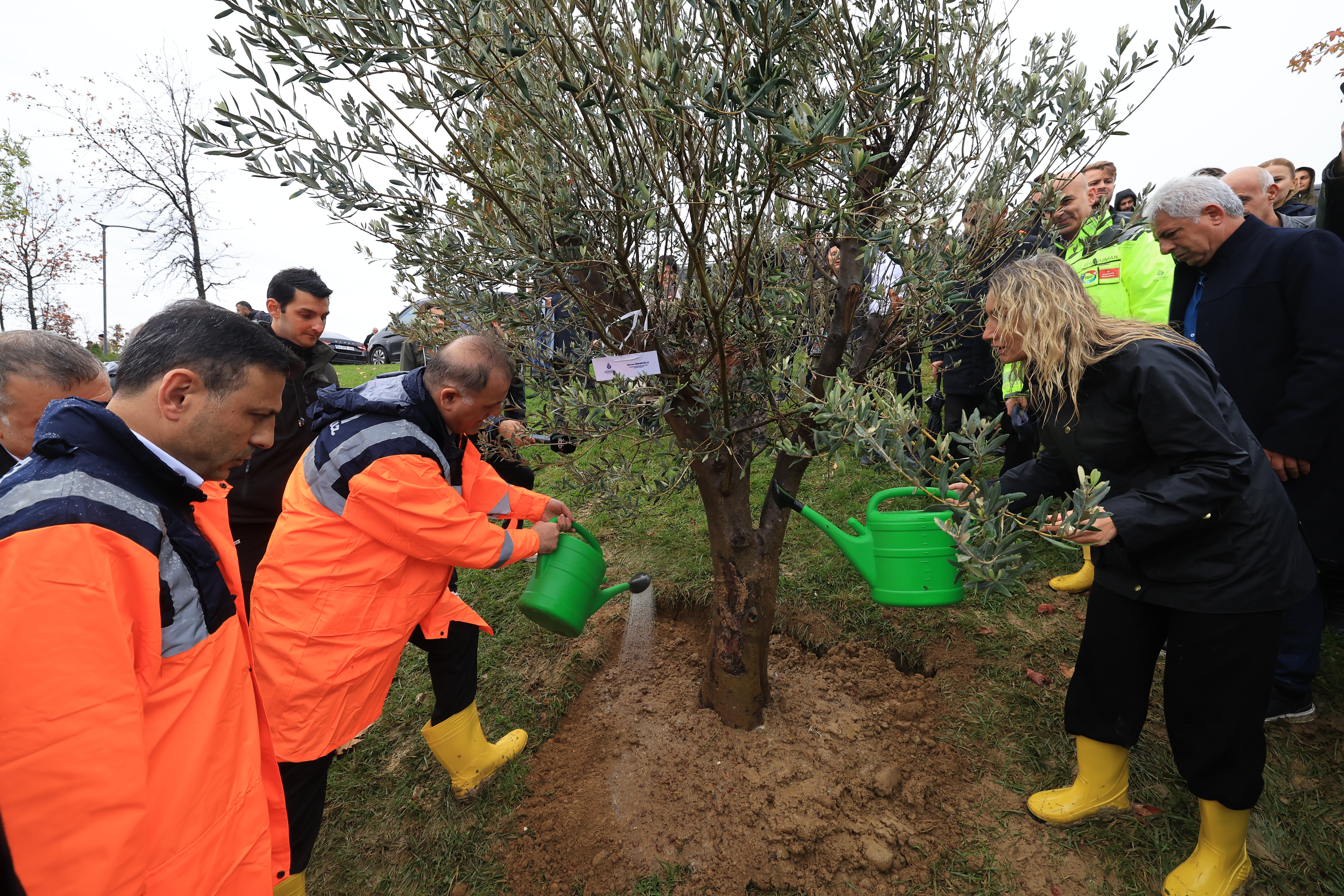 İstanbul’a 1111 ağaç dikildi